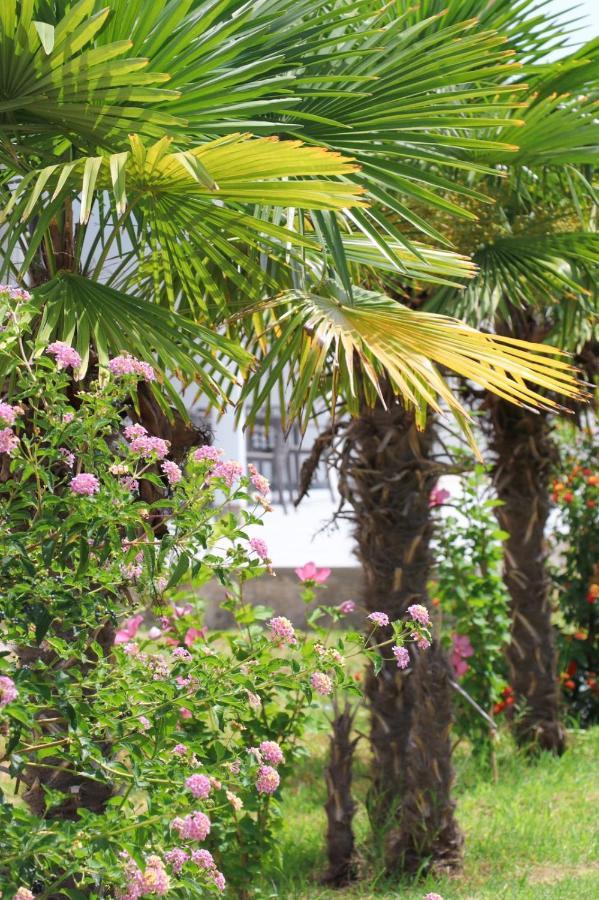 Hotel Velipoja Village Εξωτερικό φωτογραφία